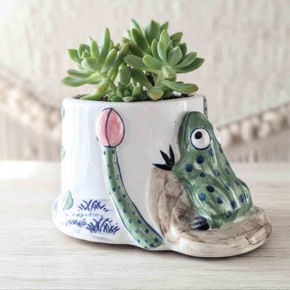 Frog Ceramic Pot Planter 2.75” Succulents Houseplants Darling Plants
